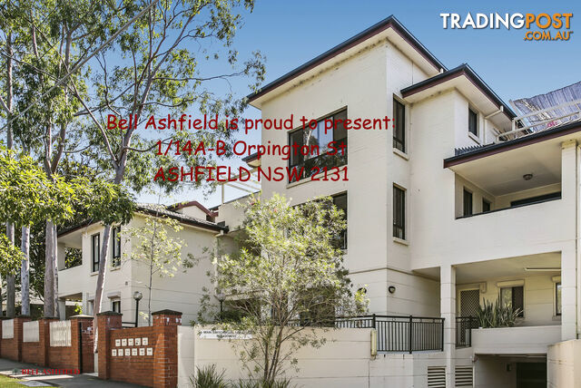 1 14A Orpington St Ashfield NSW 2131