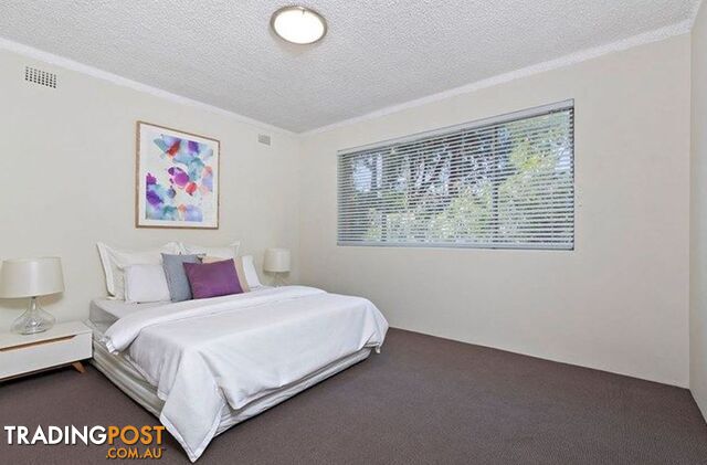 60 Alt St Ashfield NSW 2131