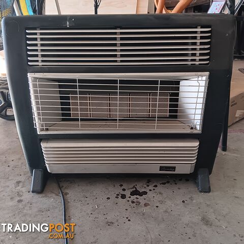 Read gas electric heater