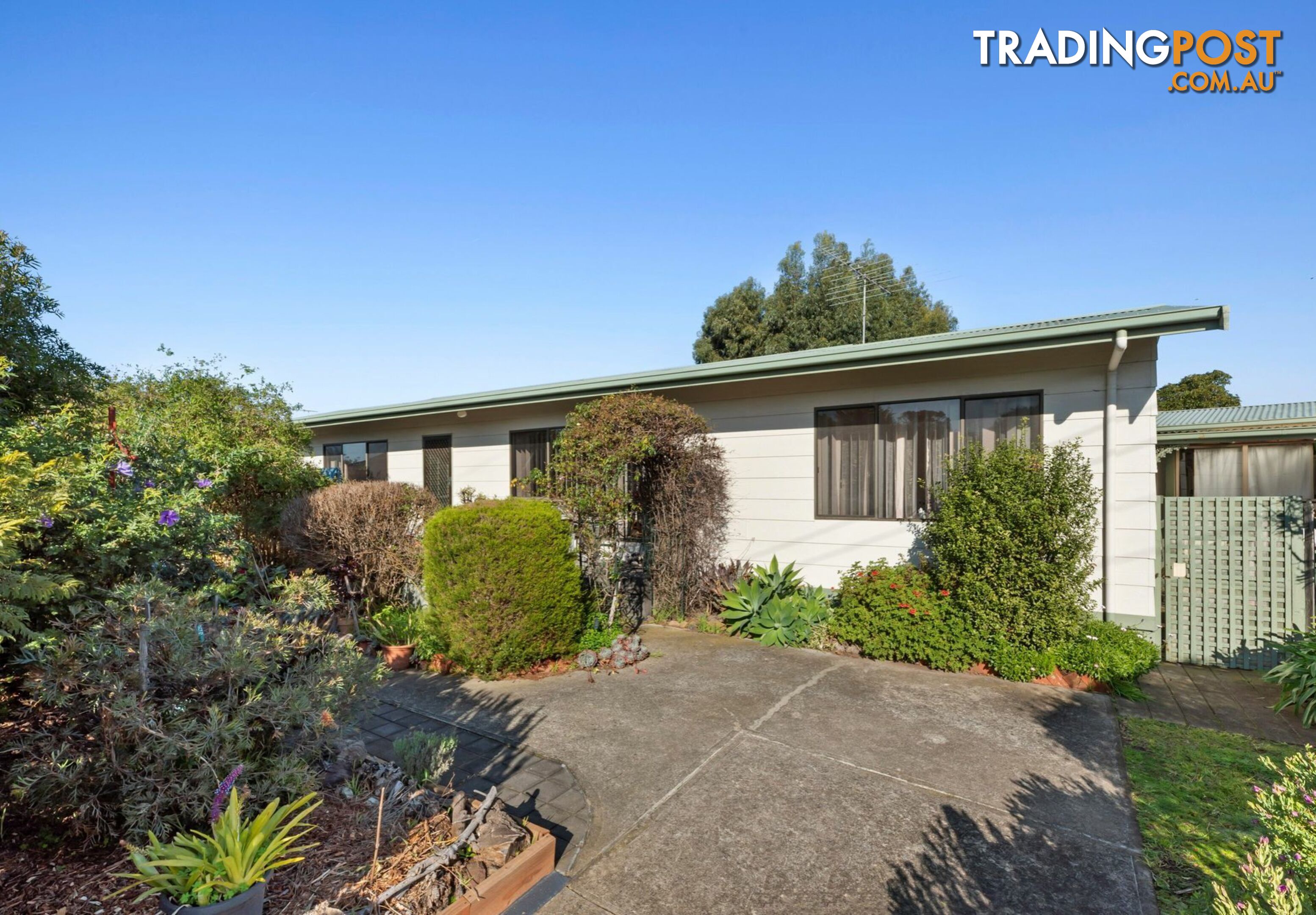 24 Doongara Avenue ST LEONARDS VIC 3223