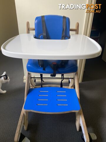 Zoomi + High Chair (Special Needs Highchair)
