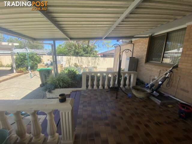 8 Scroop Way SPEARWOOD WA 6163