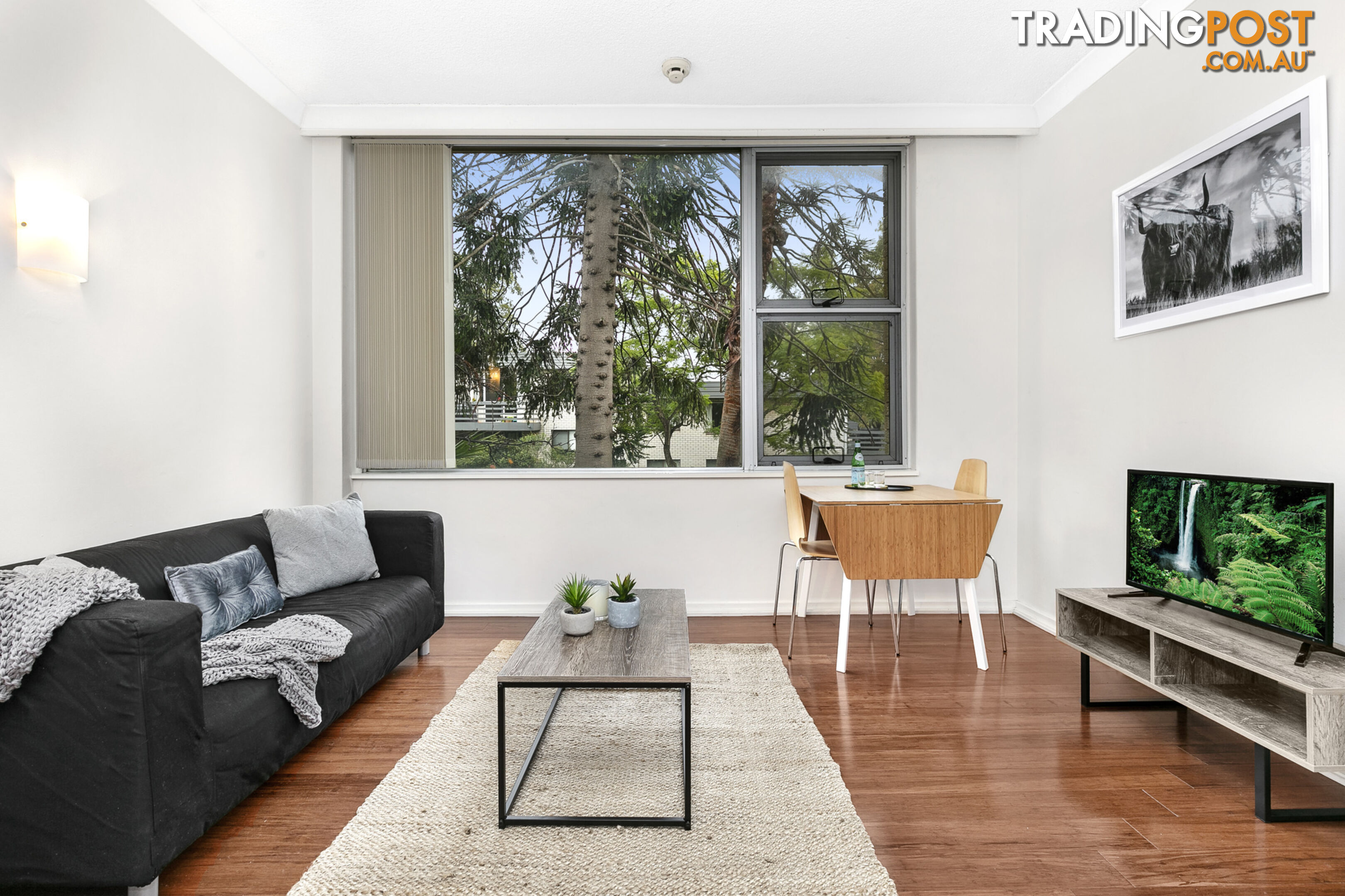 37/450 Pacific Highway LANE COVE NORTH NSW 2066