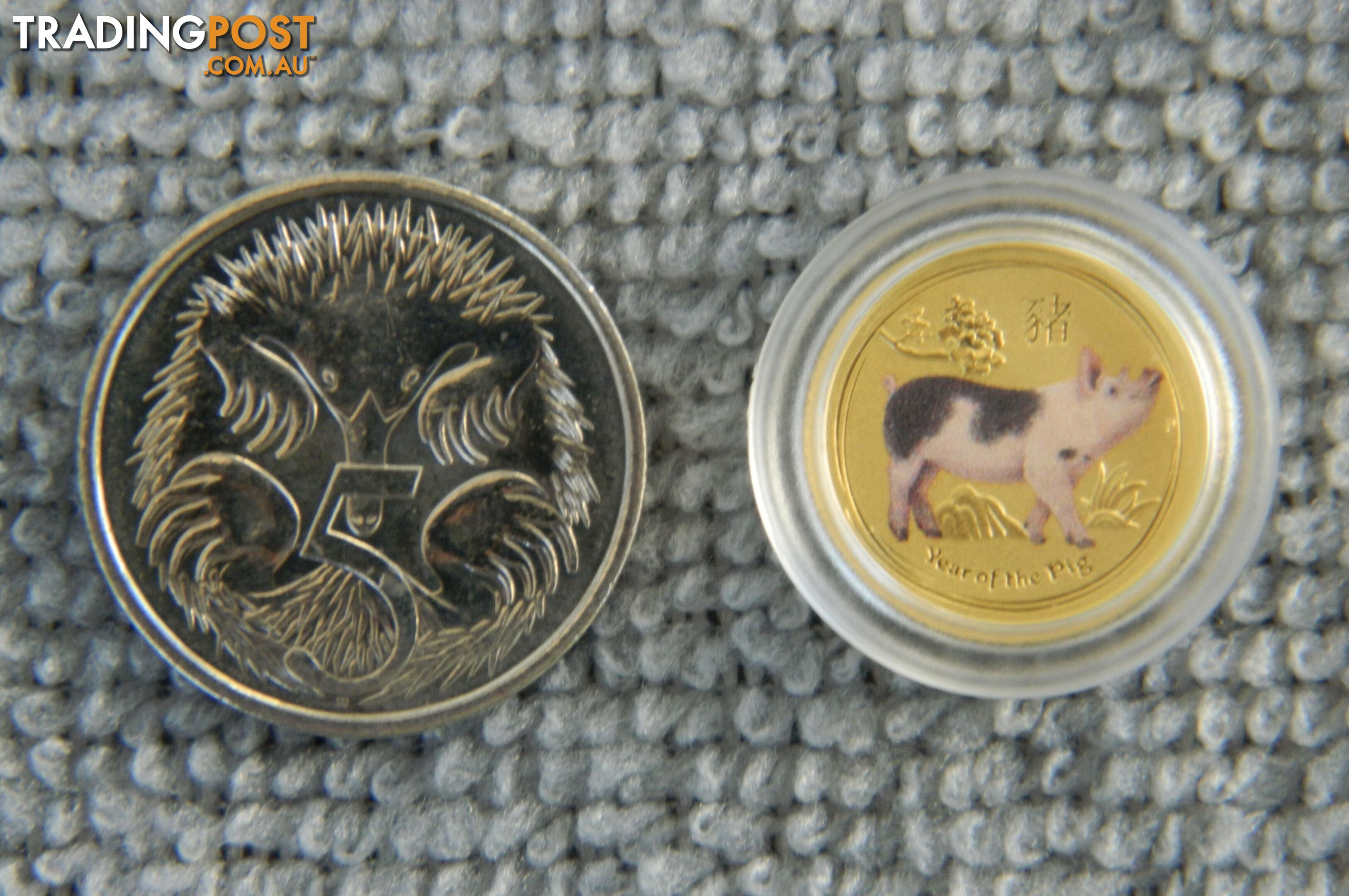 🐖 Perth Mint 1/20oz Gold Coin Coloured Lunar Year of the Pig 🐖