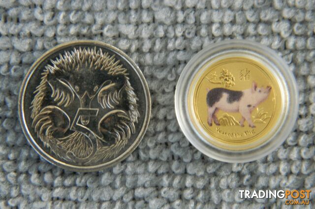 🐖 Perth Mint 1/20oz Gold Coin Coloured Lunar Year of the Pig 🐖