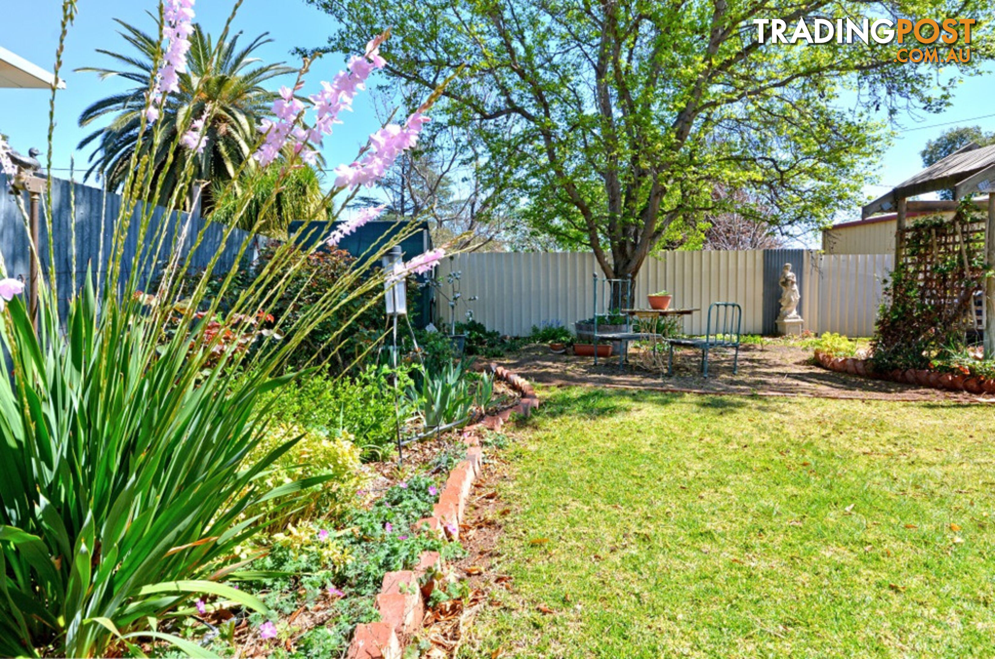 11 Cedar Street LEETON NSW 2705