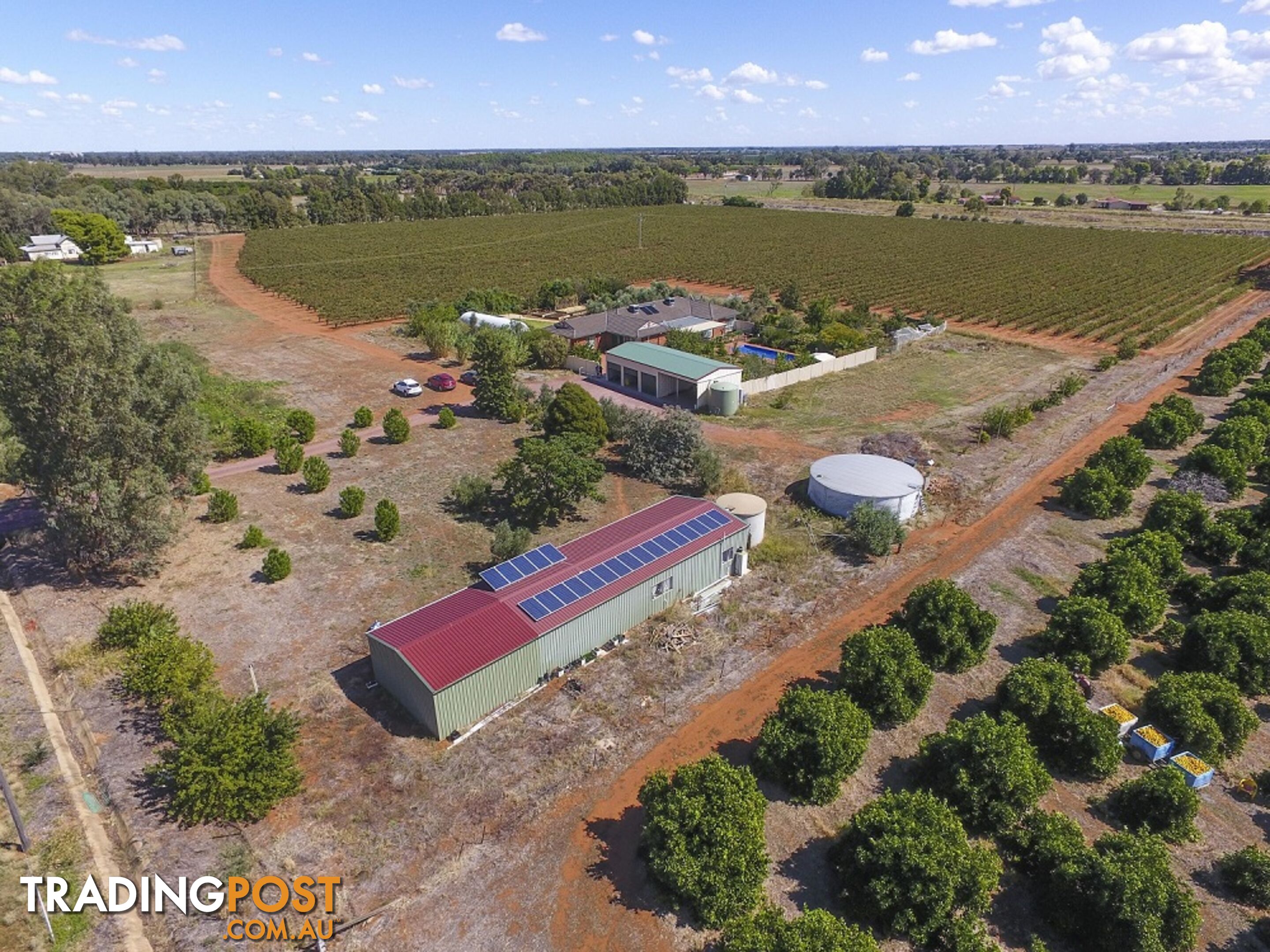 374 Stringer Rd LEETON NSW 2705