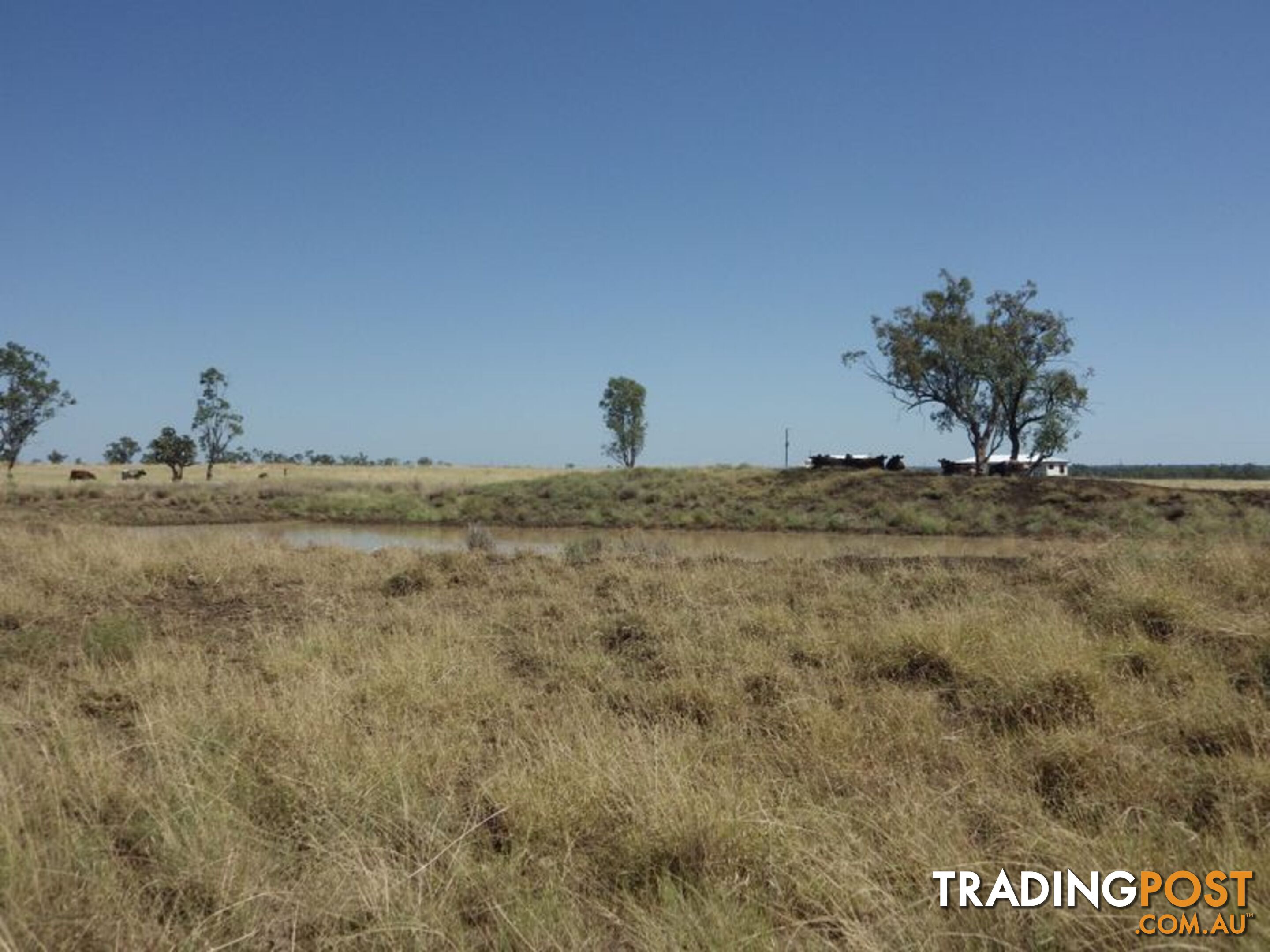 Lot 35 Warrego Highway ROMA QLD 4455