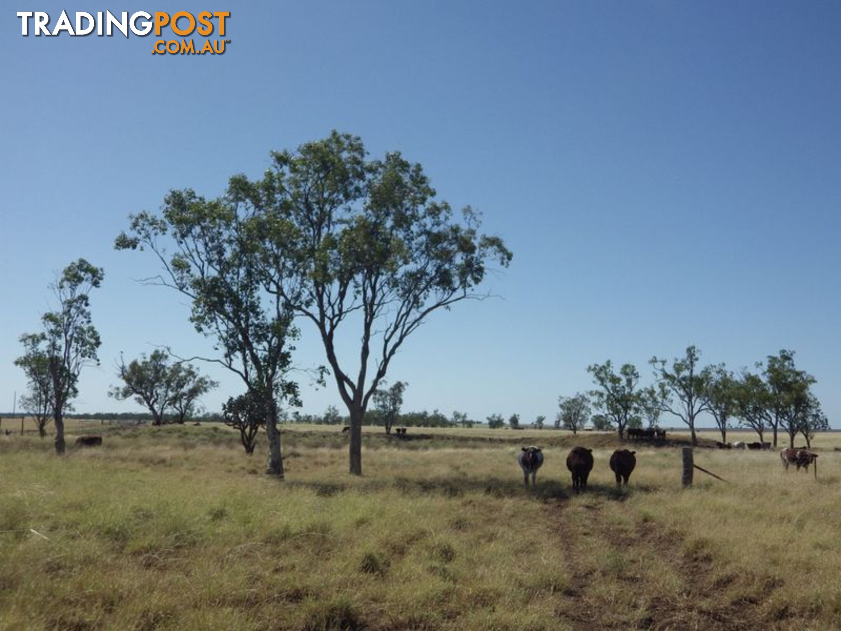 Lot 35 Warrego Highway ROMA QLD 4455