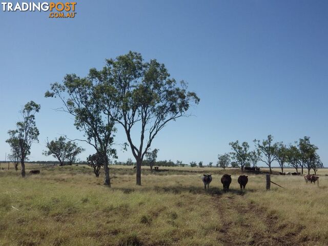 Lot 35 Warrego Highway ROMA QLD 4455