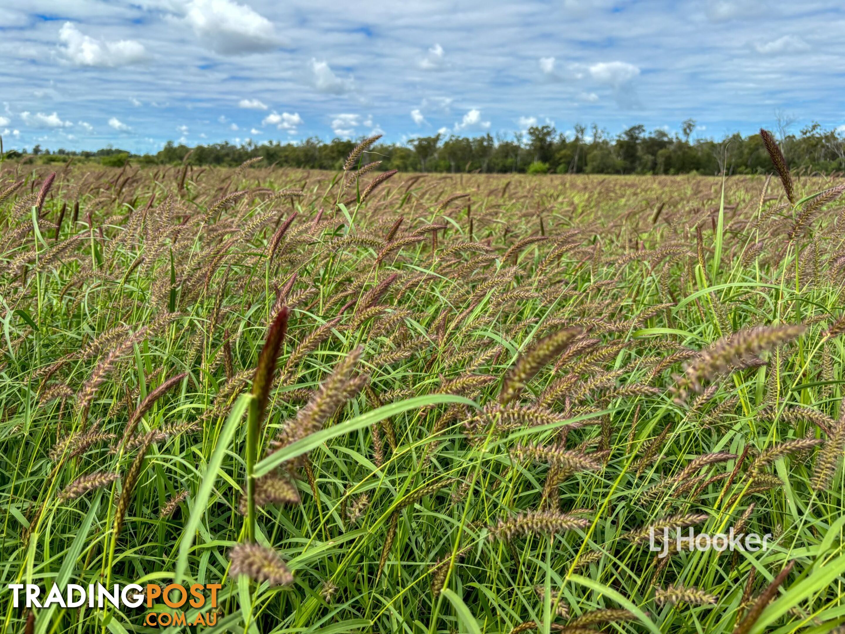 Lot 7 Burnsdale Road ROMA QLD 4455