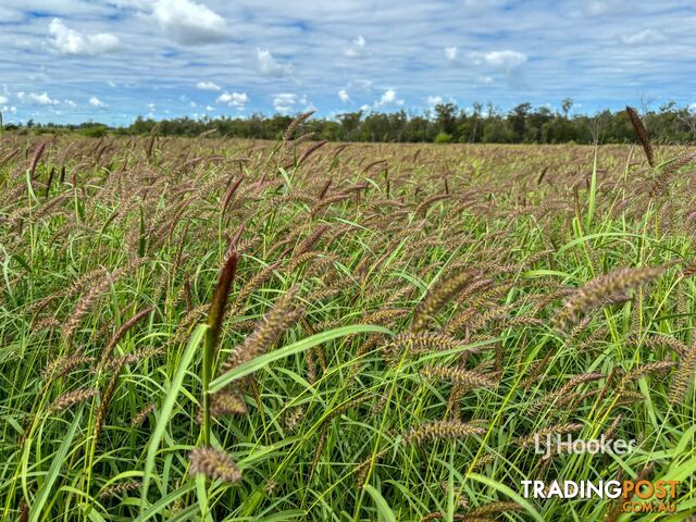 Lot 7 Burnsdale Road ROMA QLD 4455