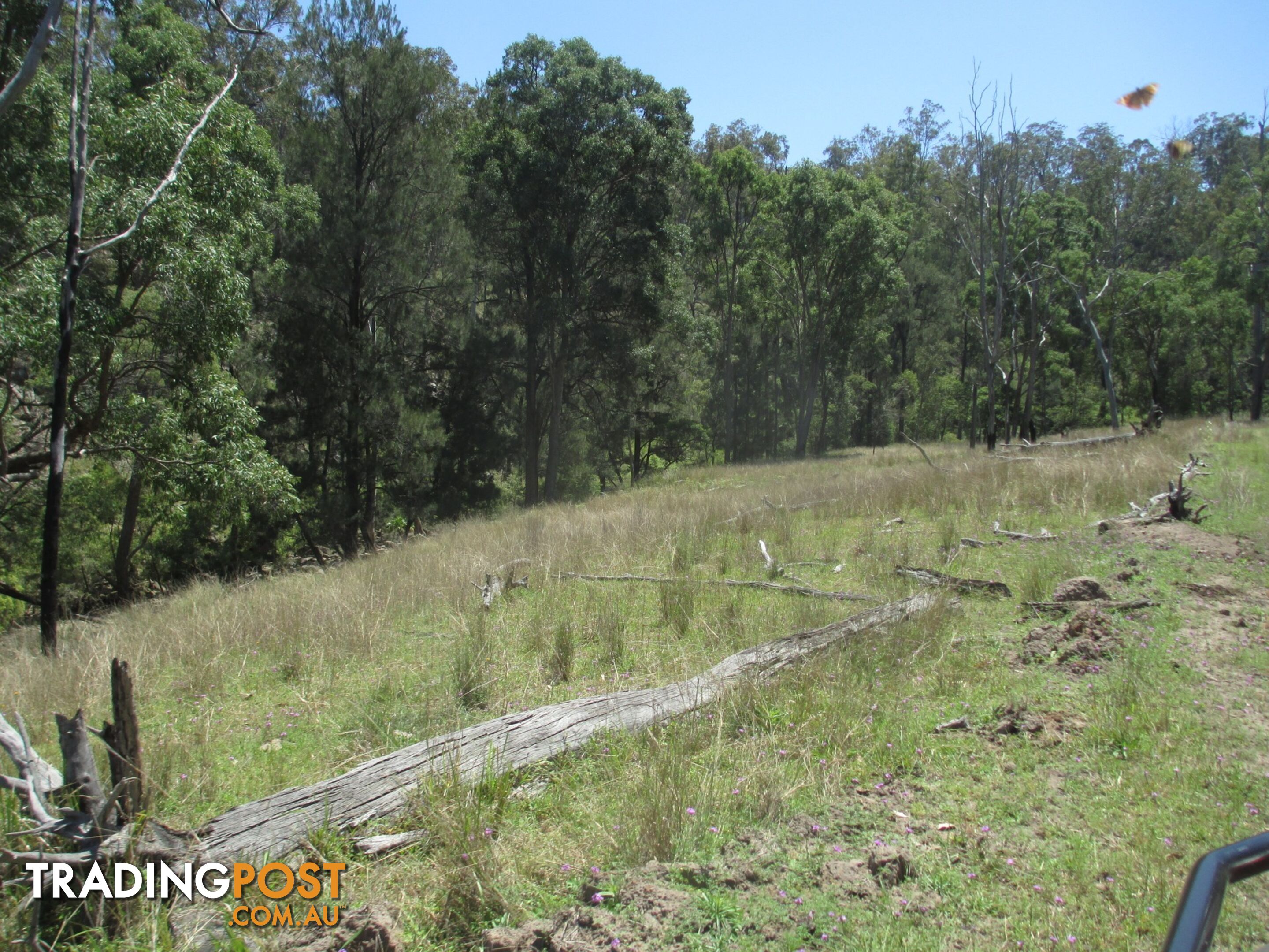 'Mt Hetty' Saddlers Road INJUNE QLD 4454