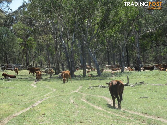 'Mt Hetty' Saddlers Road INJUNE QLD 4454