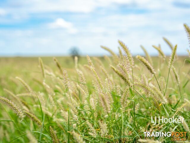 1408 "Bindango" - Bindango Road ROMA QLD 4455