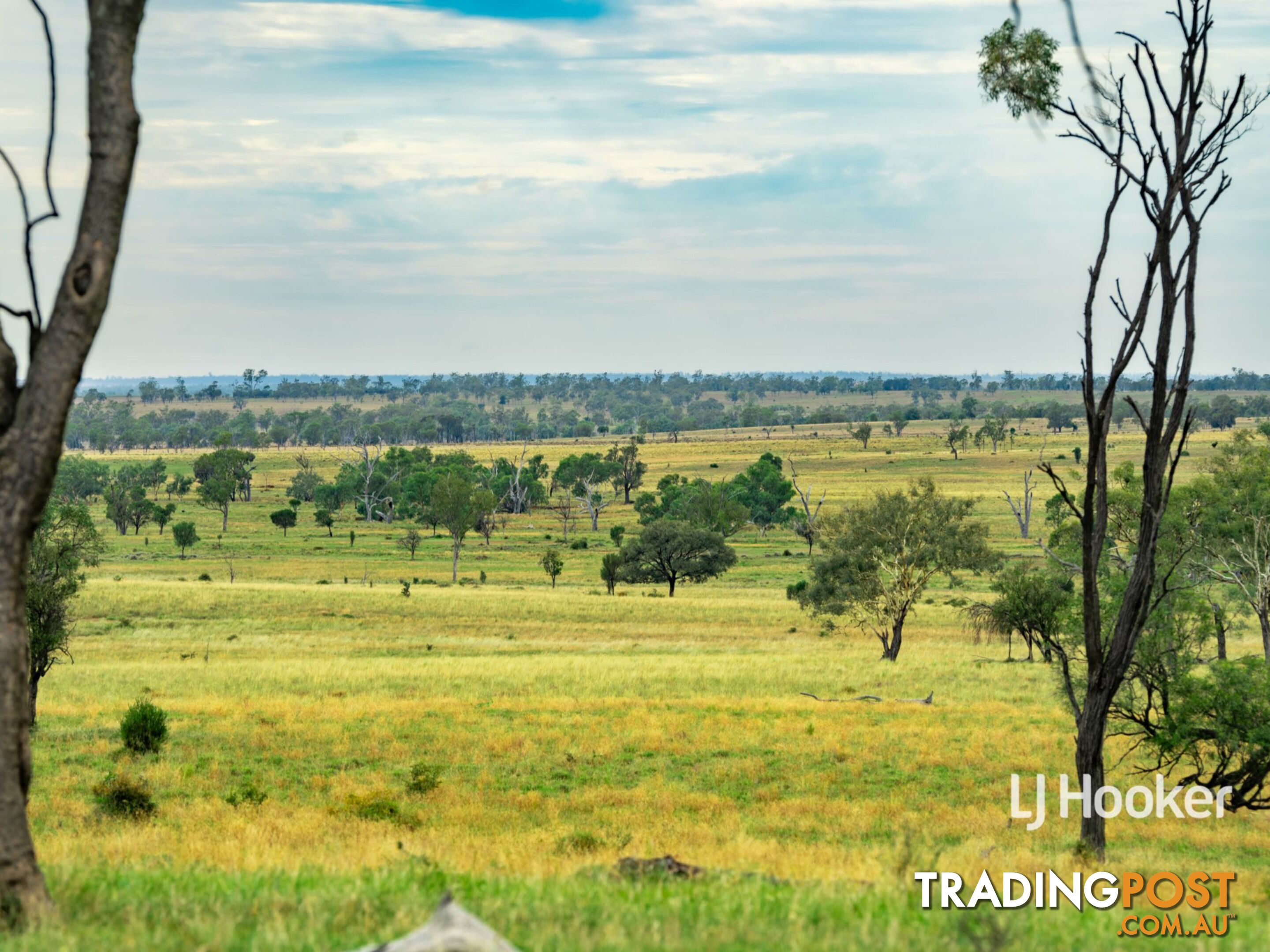 1408 "Bindango" - Bindango Road ROMA QLD 4455