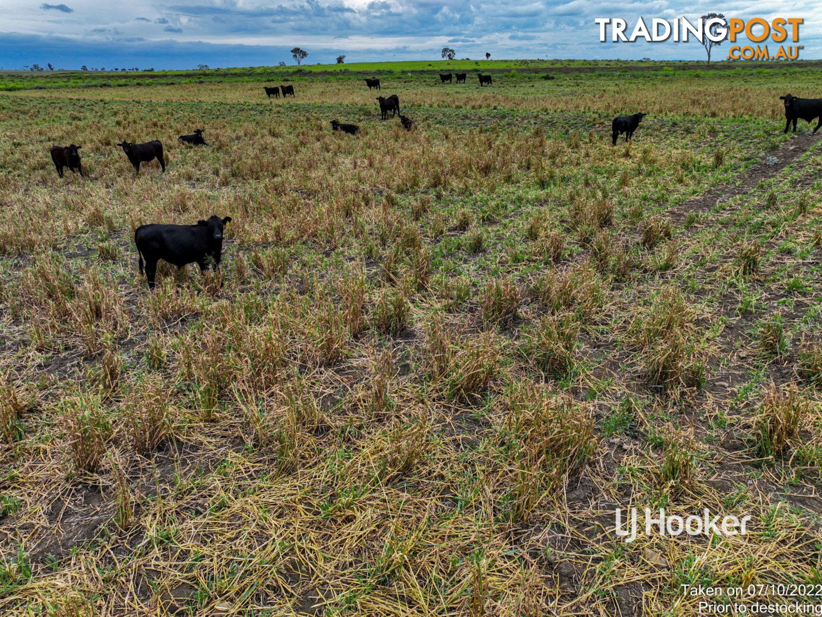 1408 "Bindango" - Bindango Road ROMA QLD 4455