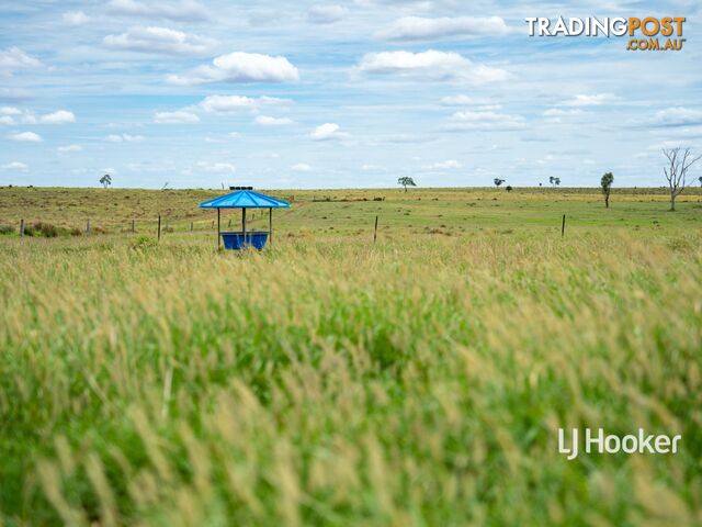 1408 "Bindango" - Bindango Road ROMA QLD 4455