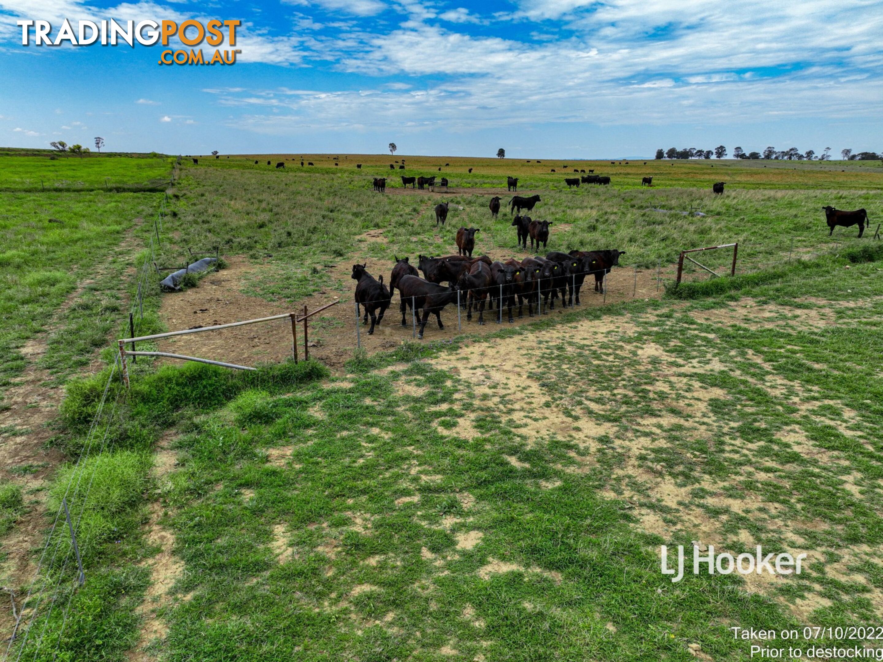 1408 "Bindango" - Bindango Road ROMA QLD 4455