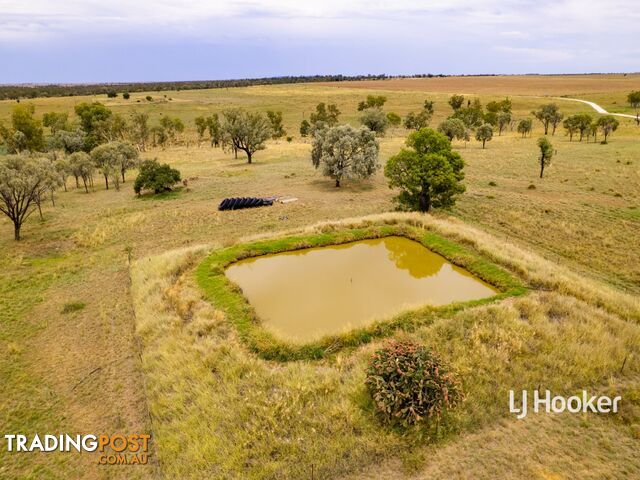 1408 "Bindango" - Bindango Road ROMA QLD 4455