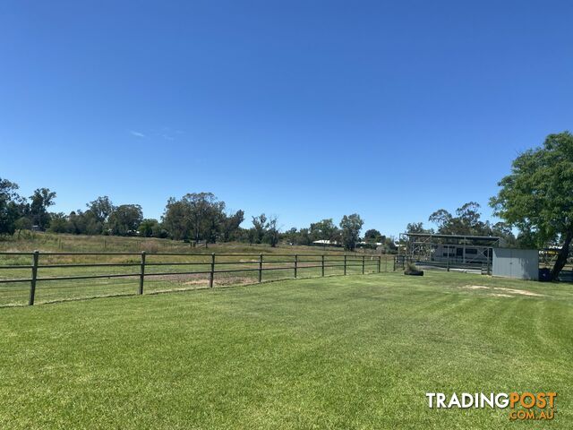 203 Bassett Lane ROMA QLD 4455