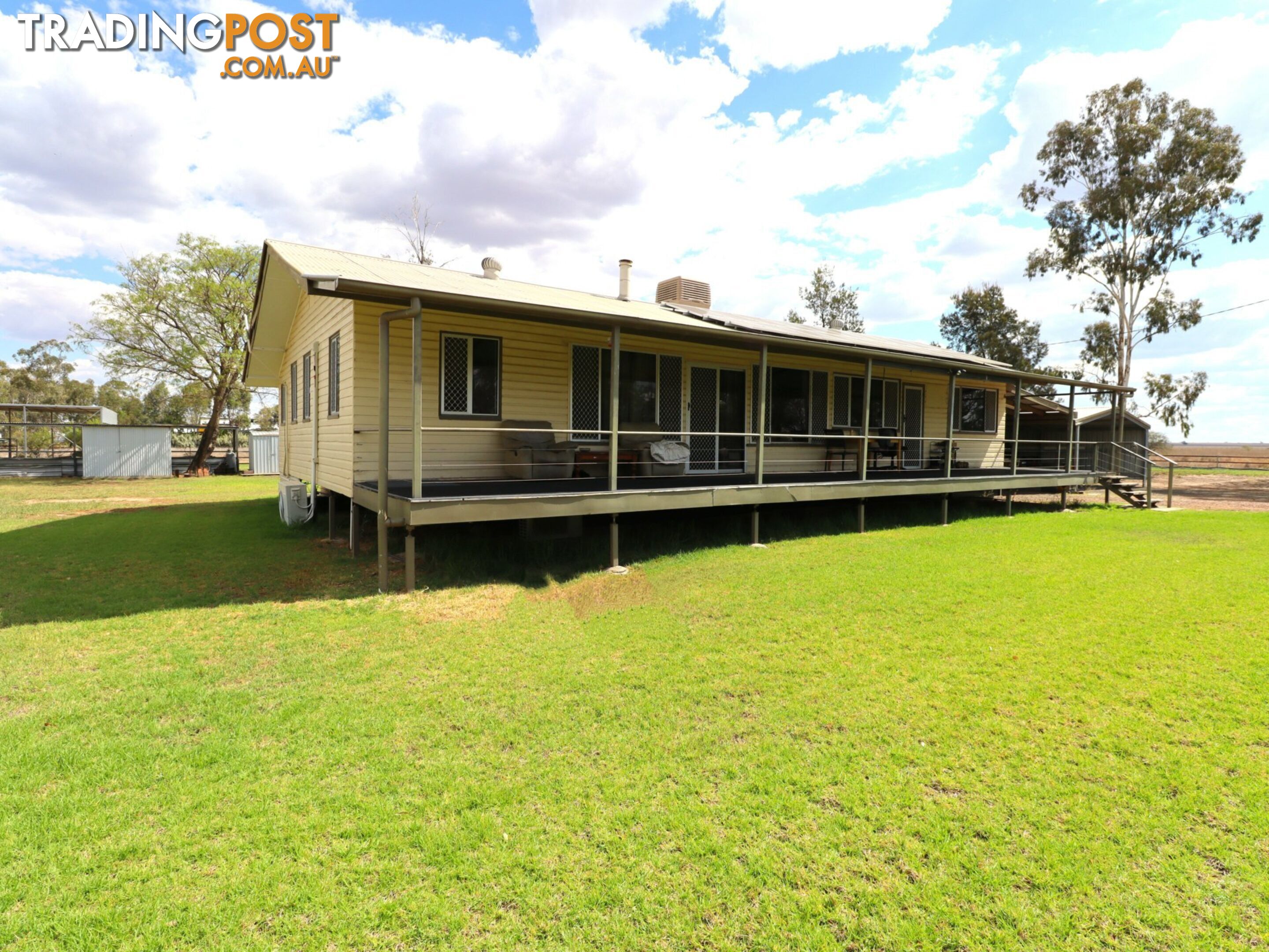 203 Bassett Lane ROMA QLD 4455