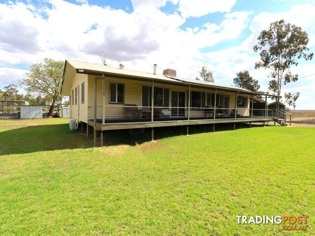 203 Bassett Lane ROMA QLD 4455