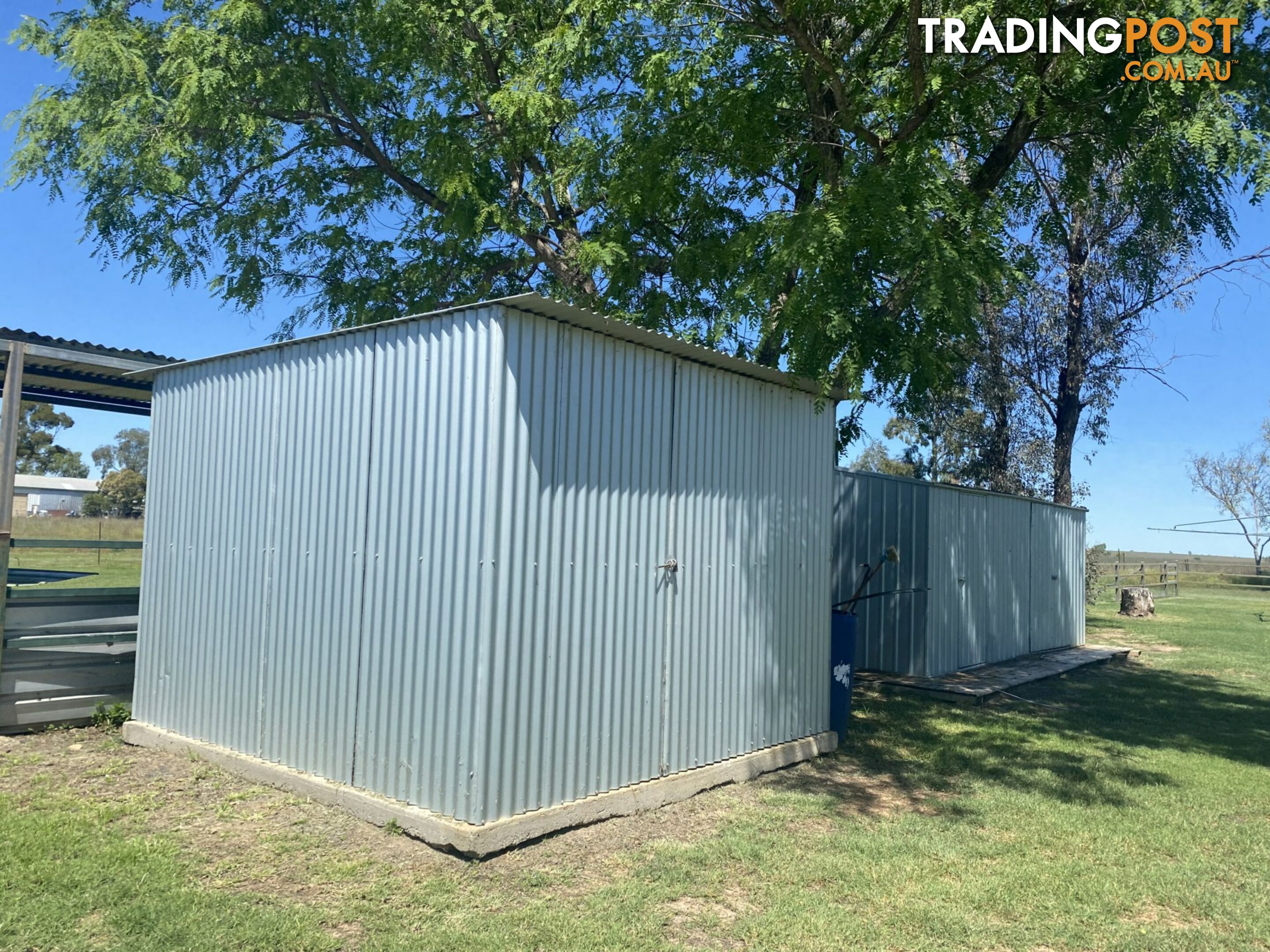 203 Bassett Lane ROMA QLD 4455