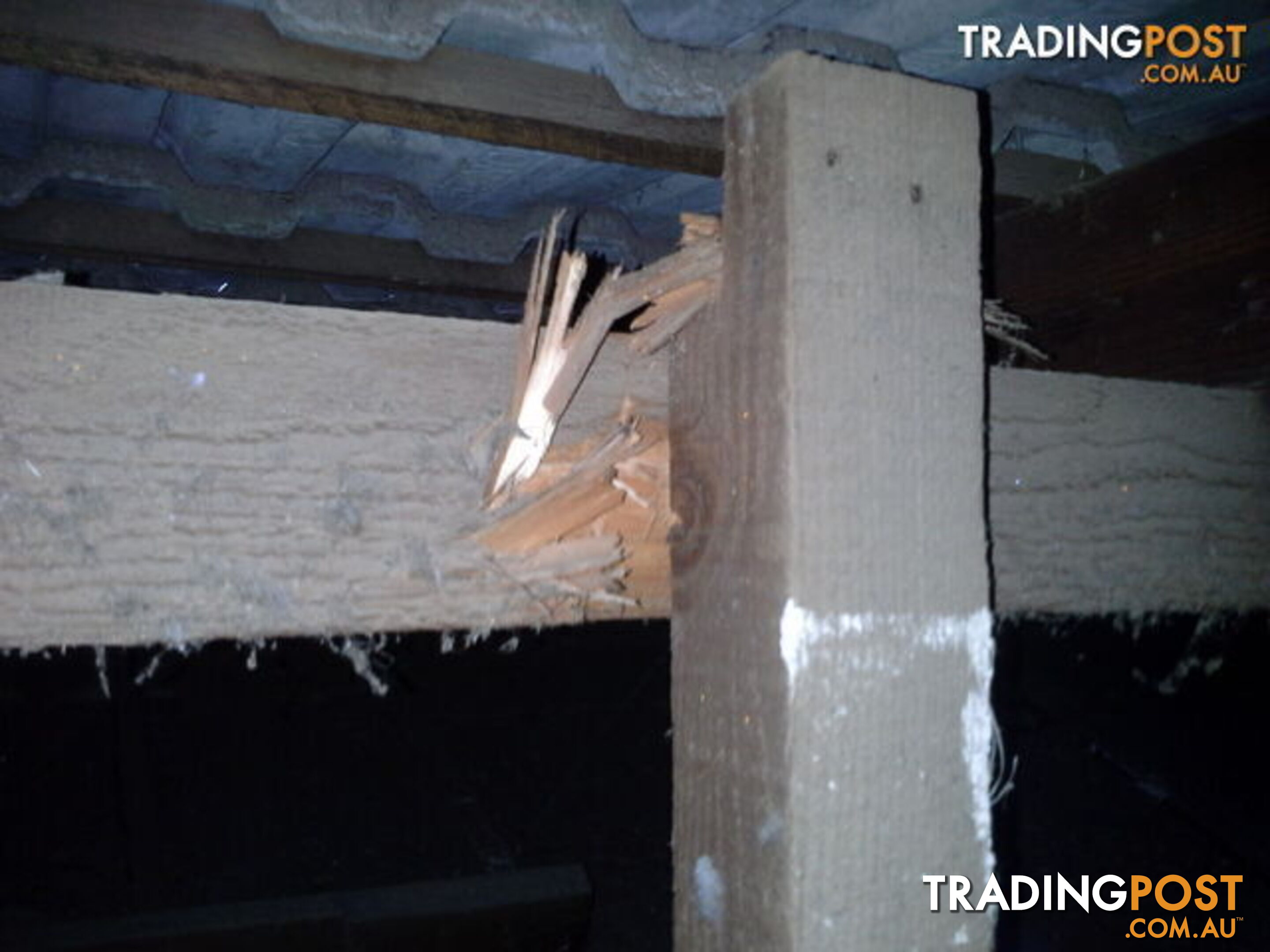 A Building and Pest inspection should be done with Integrity