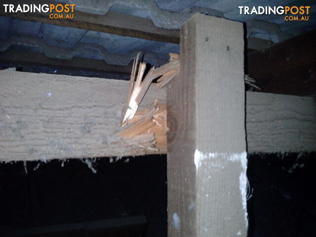 A Building and Pest inspection should be done with Integrity