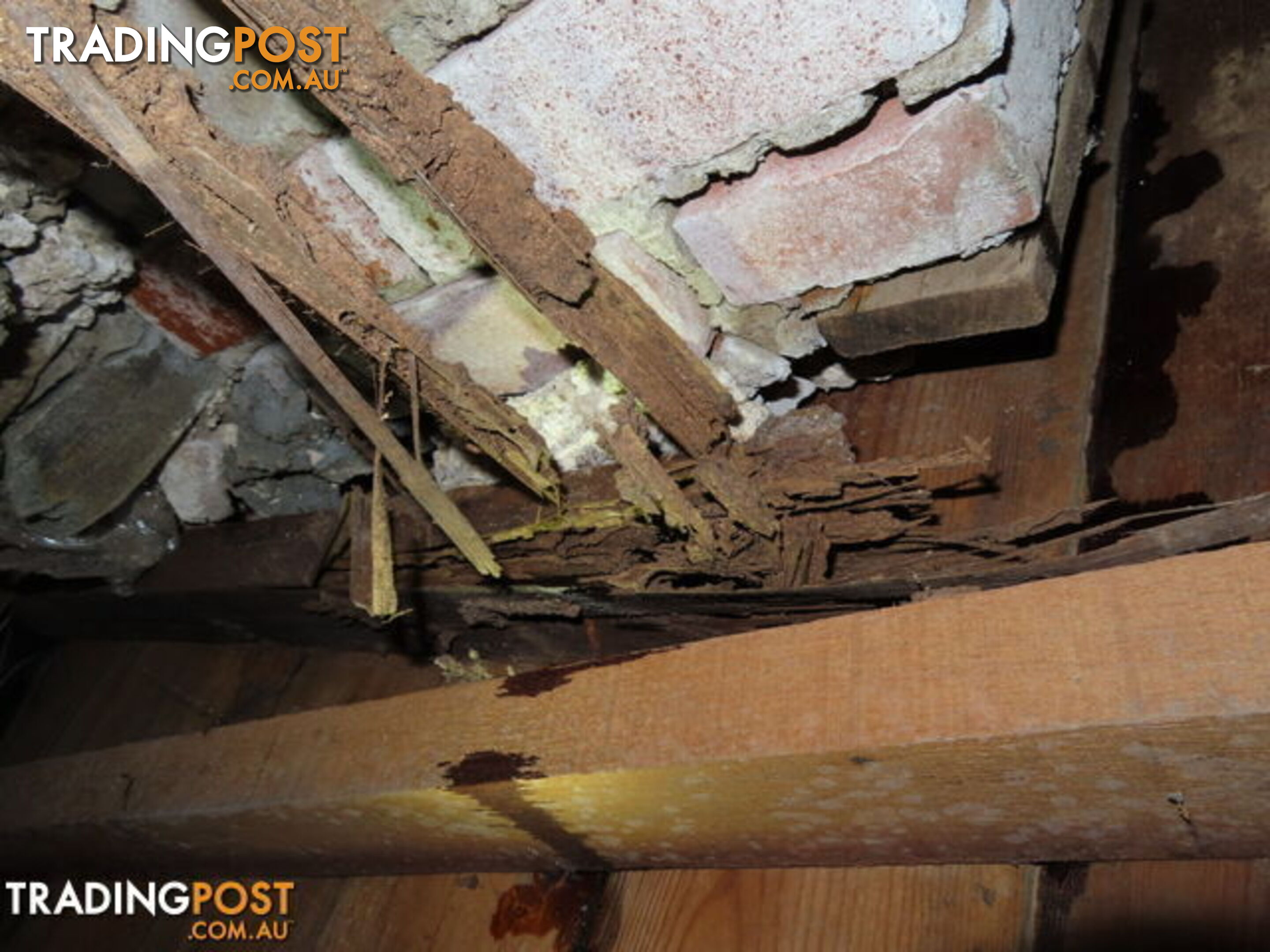 A Building and Pest inspection should be done with Integrity