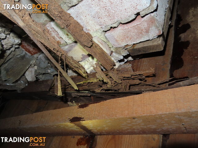 A Building and Pest inspection should be done with Integrity