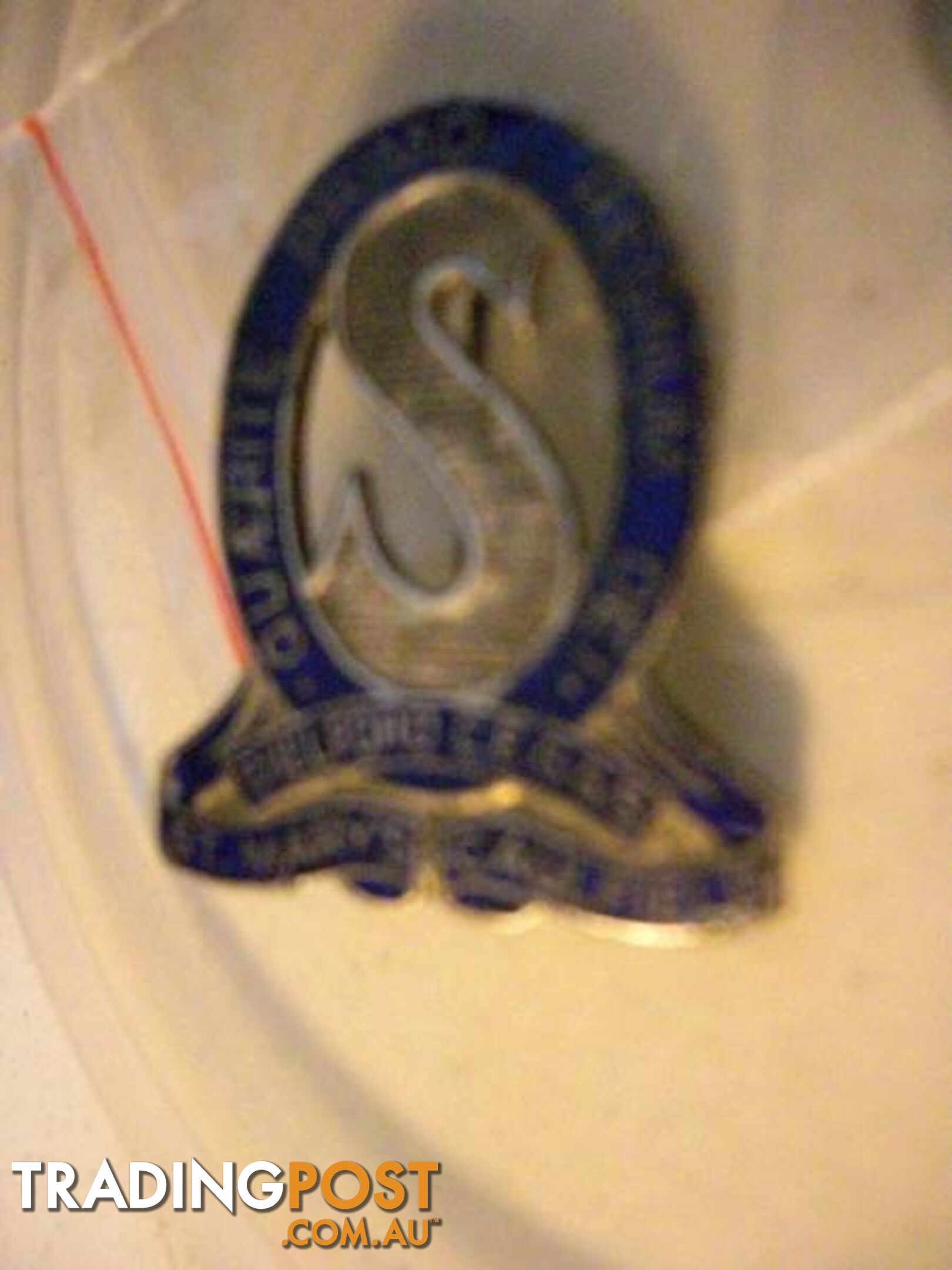 VINTAGE St Marys Caulfield School Badge Old Pin Intact