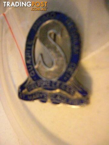 VINTAGE St Marys Caulfield School Badge Old Pin Intact