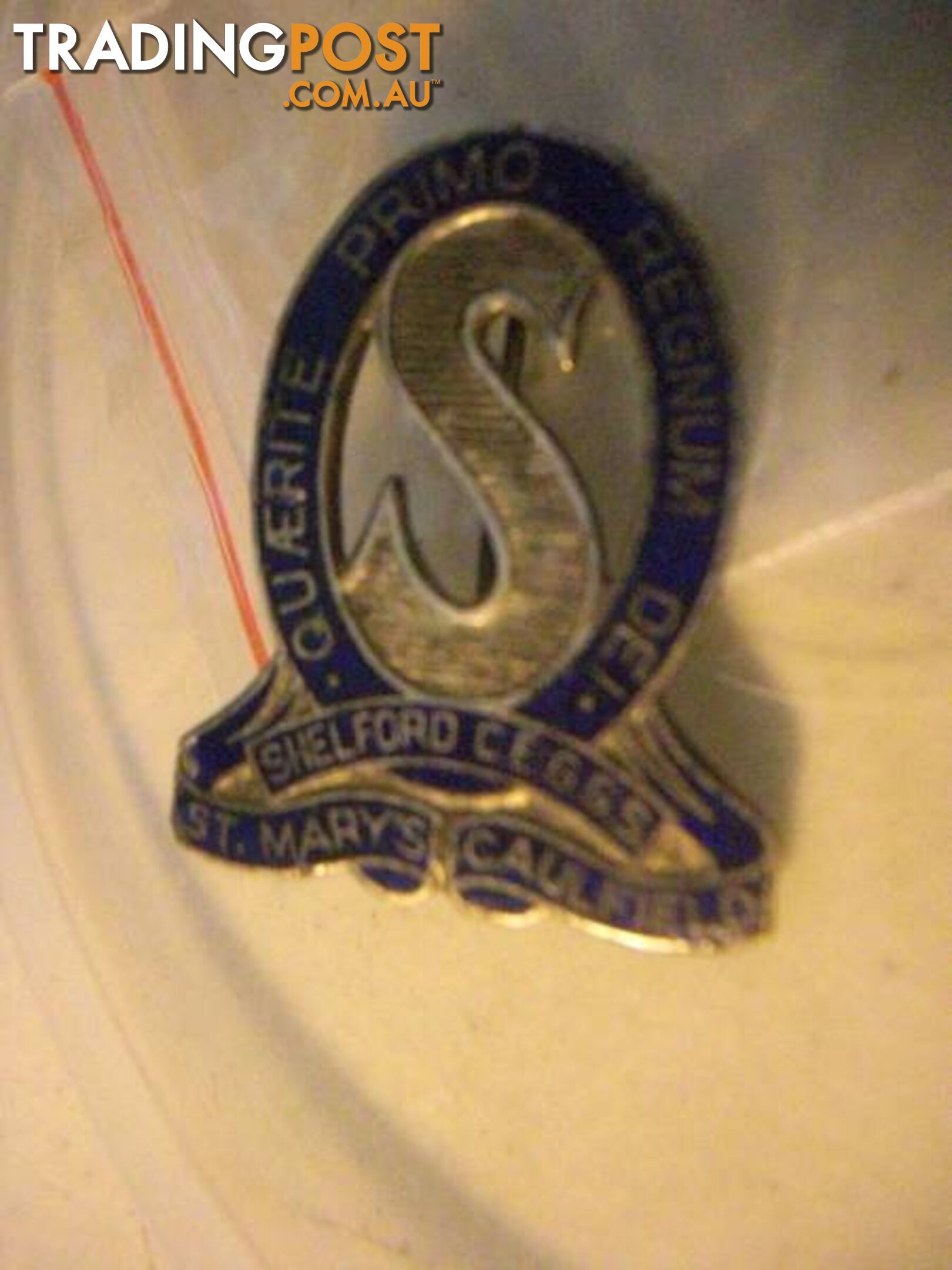 VINTAGE St Marys Caulfield School Badge Old Pin Intact