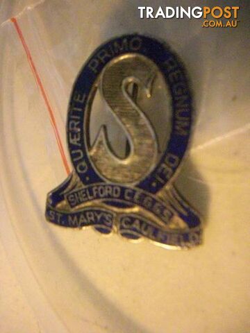 VINTAGE St Marys Caulfield School Badge Old Pin Intact