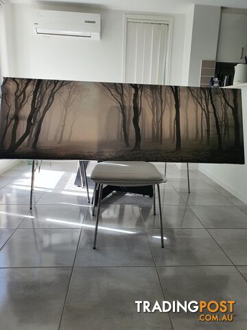 Forest Picture