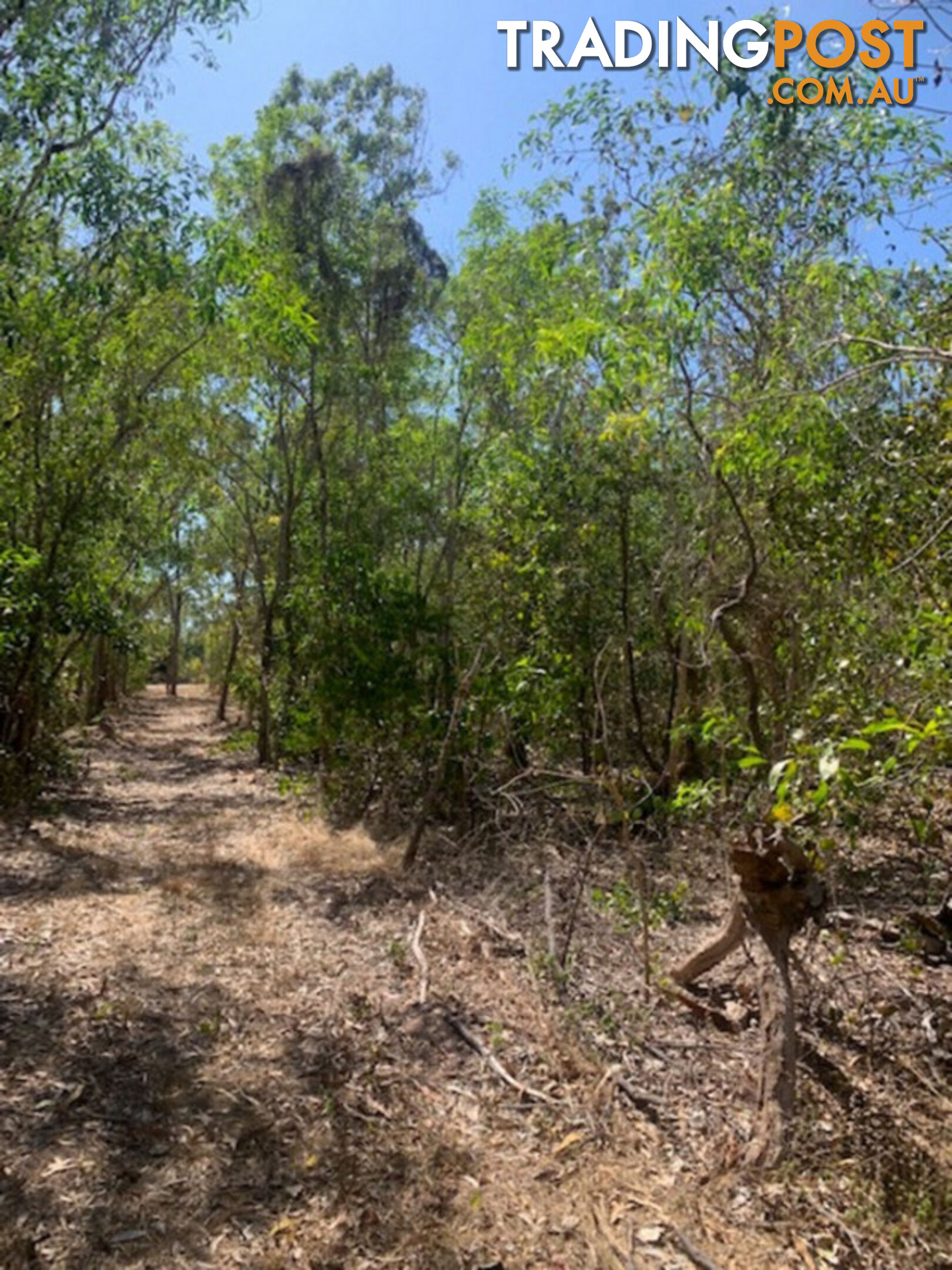 6 Boom Place WAGAIT BEACH NT 0822