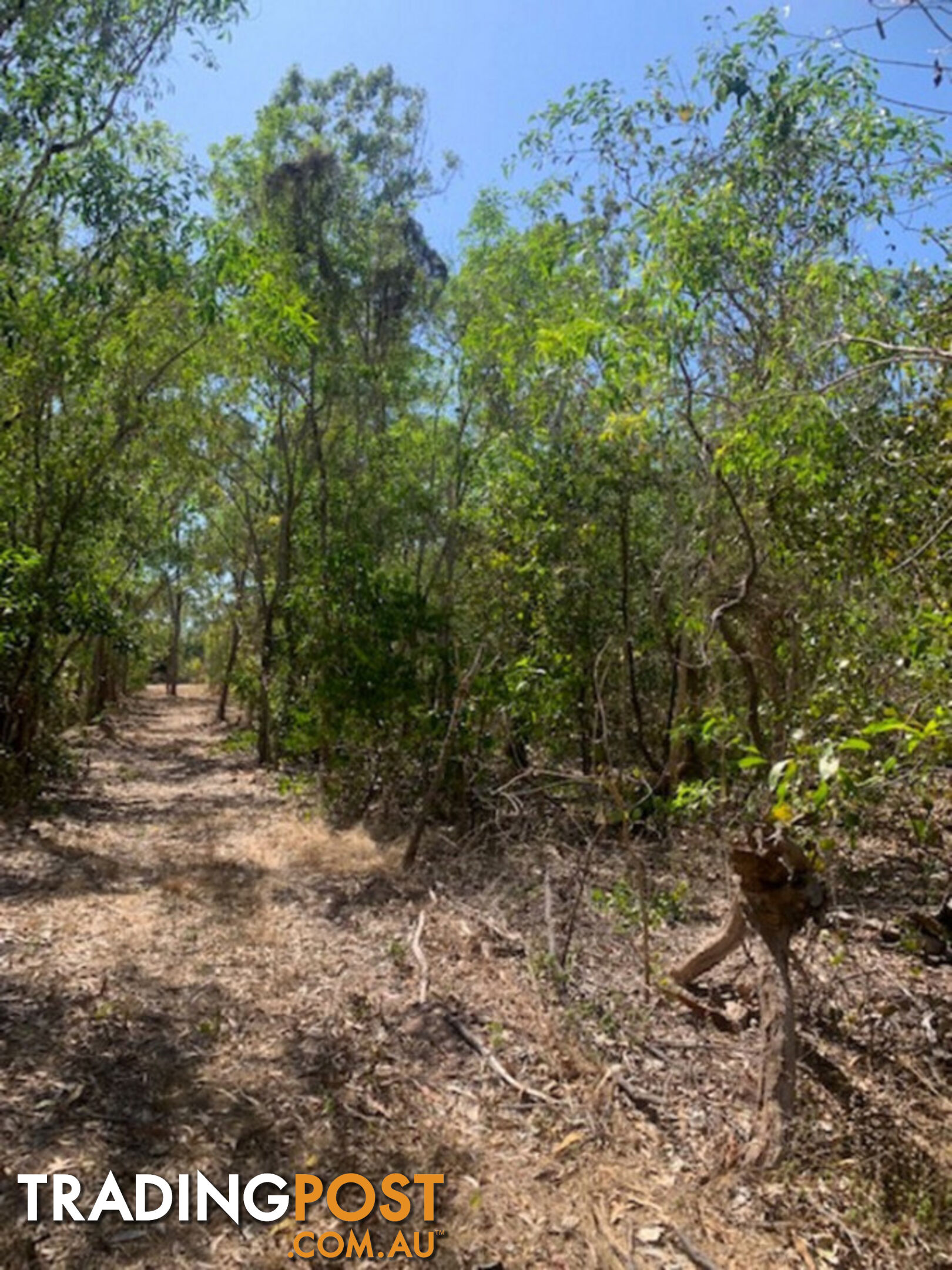 6 Boom Place WAGAIT BEACH NT 0822