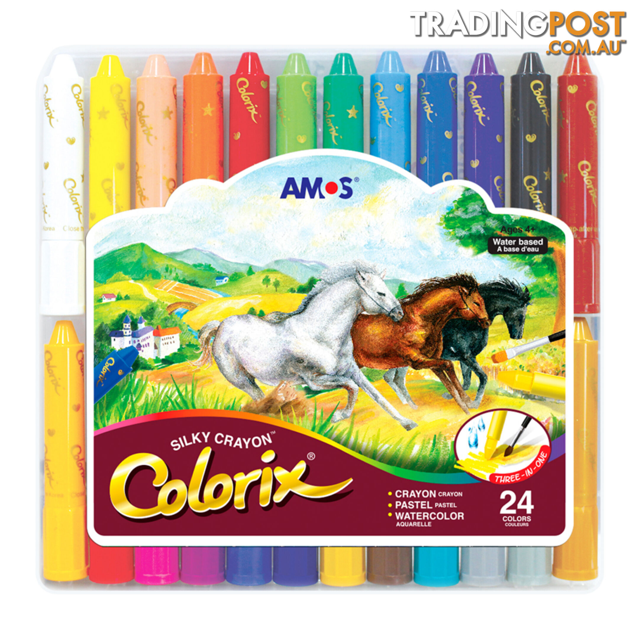 Colorix - 24 Pack in Plastic Case - Amos