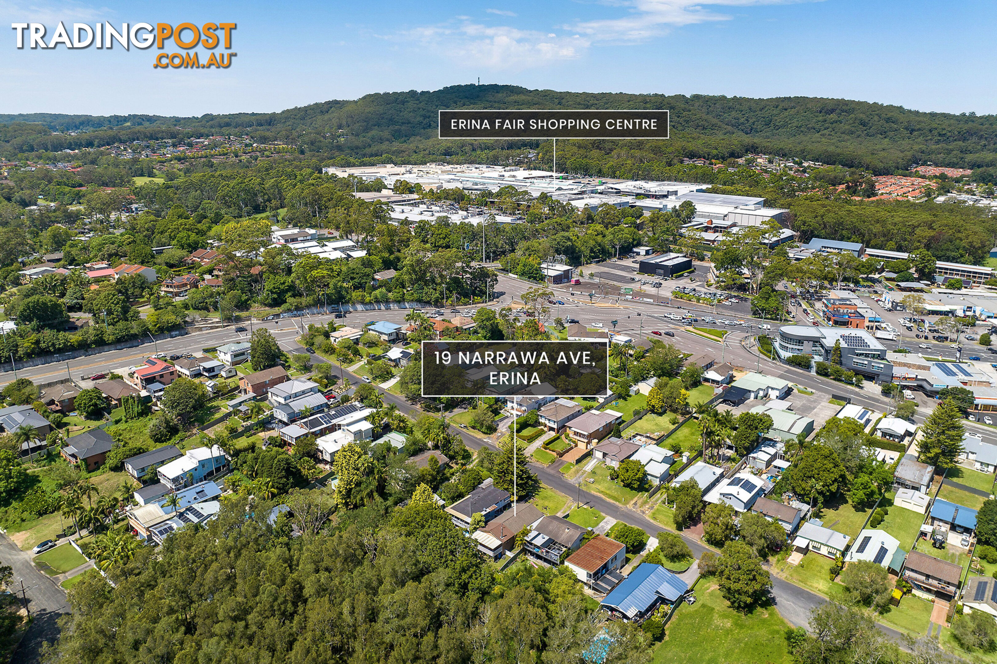 19 Narrawa Avenue ERINA NSW 2250