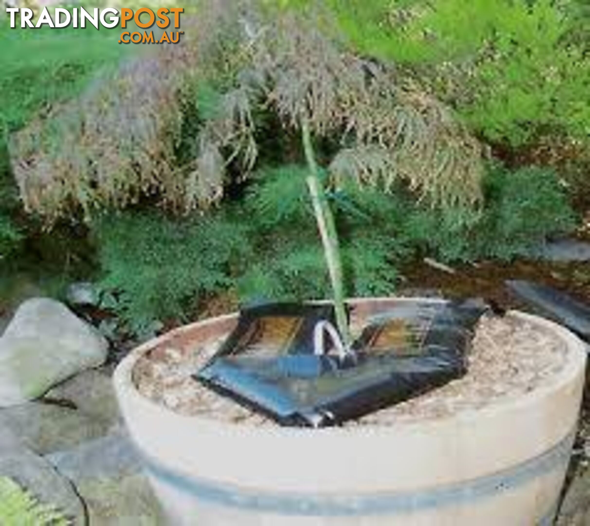 Economical Watering System for Newly Planted Trees