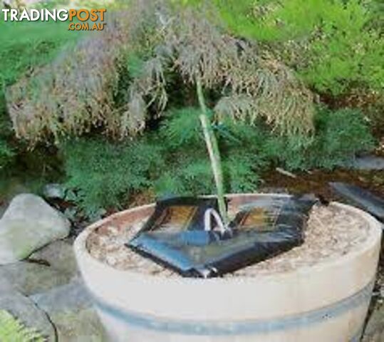 Economical Watering System for Newly Planted Trees