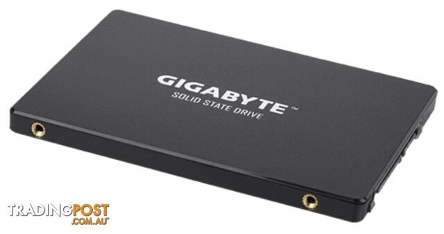 1TB Gigabyte GP-GSTFS31100TNTD SSD