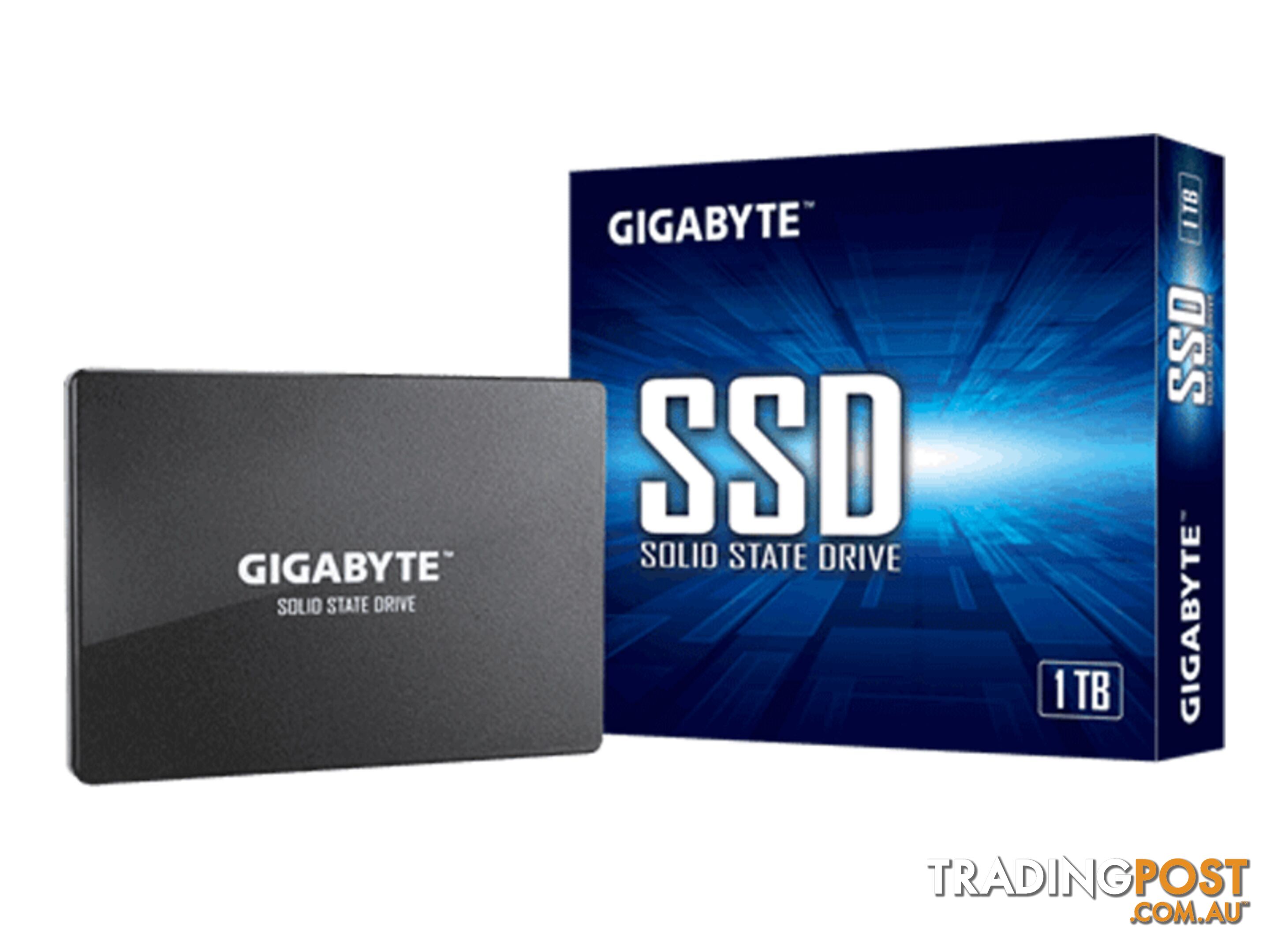 1TB Gigabyte GP-GSTFS31100TNTD SSD