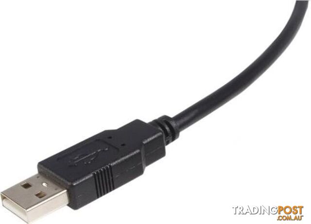 StarTech USB2HAB6 6 ft USB 2.0 Certified A to B Cable M/M - StarTech - 065030793742 - USB2HAB6 - photo 2 of 2