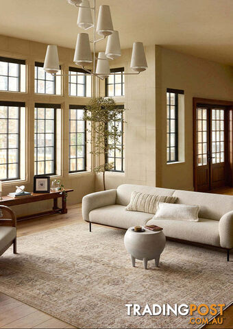 Abbey 04 Ivory Rug 230X160CM - HTG-04-IVORY-230X160