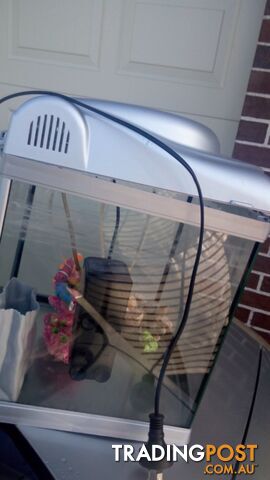 Small fish tank with filter and accessories - photo 4 of 4