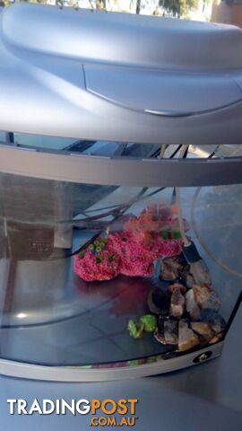 Small fish tank with filter and accessories - photo 2 of 4