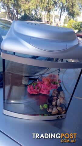 Small fish tank with filter and accessories - photo 3 of 4